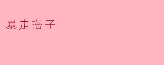 暴走搭子