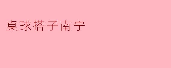 桌球搭子南宁