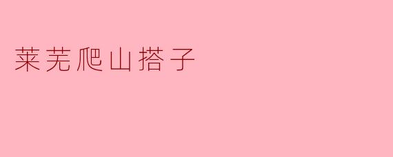 莱芜爬山搭子