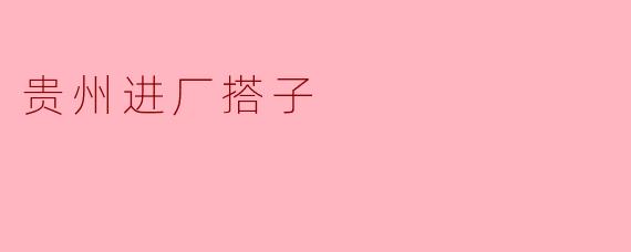 贵州进厂搭子