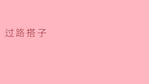 过路搭子