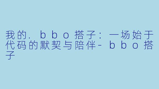 我的.bbo搭子：一场始于代码的默契与陪伴-bbo搭子