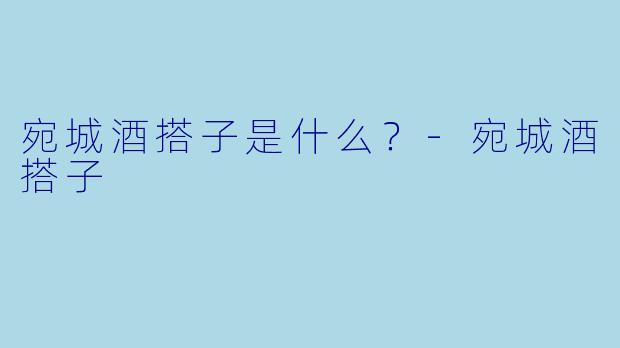 宛城酒搭子是什么？-宛城酒搭子
