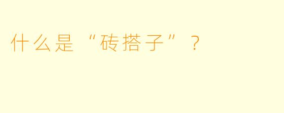 什么是“砖搭子”？