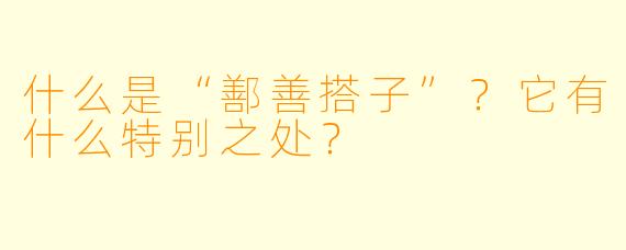 什么是“鄯善搭子”？它有什么特别之处？