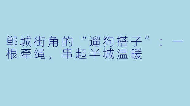 郸城街角的“遛狗搭子”：一根牵绳，串起半城温暖