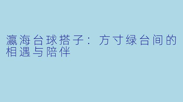 瀛海台球搭子：方寸绿台间的相遇与陪伴