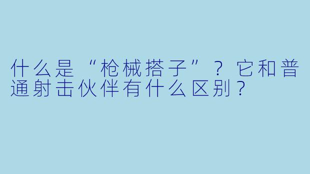 什么是“枪械搭子”？它和普通射击伙伴有什么区别？