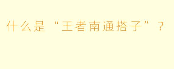什么是“王者南通搭子”?