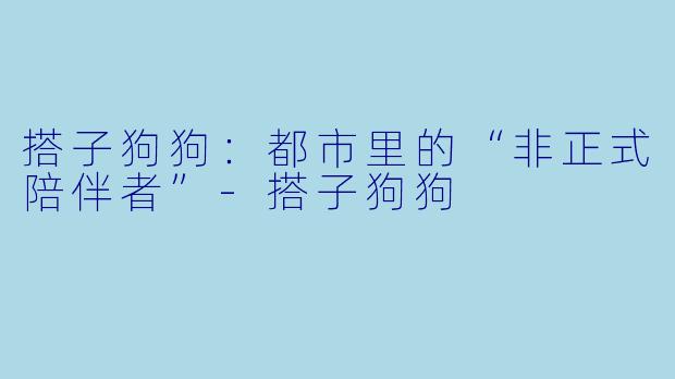 搭子狗狗:都市里的“非正式陪伴者”-搭子狗狗