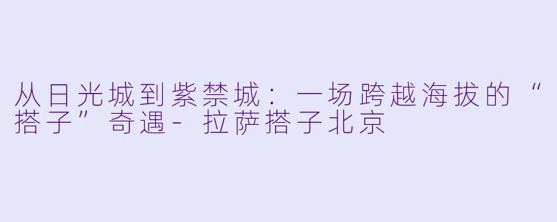 从日光城到紫禁城:一场跨越海拔的“搭子”奇遇-拉萨搭子北京
