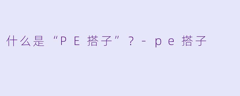 什么是“PE搭子”？