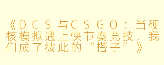 《DCS与CSGO:当硬核模拟遇上快节奏竞技,我们成了彼此的“搭子”》