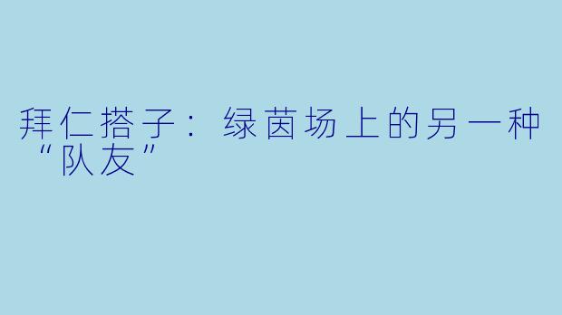 拜仁搭子:绿茵场上的另一种“队友”