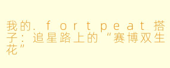 我的.fortpeat搭子：追星路上的“赛博双生花”