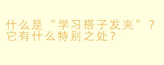 什么是“学习搭子发夹”？它有什么特别之处？