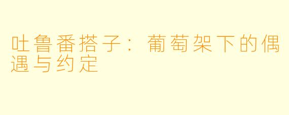 吐鲁番搭子：葡萄架下的偶遇与约定