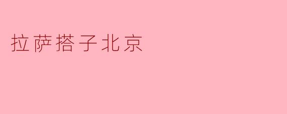 拉萨搭子北京