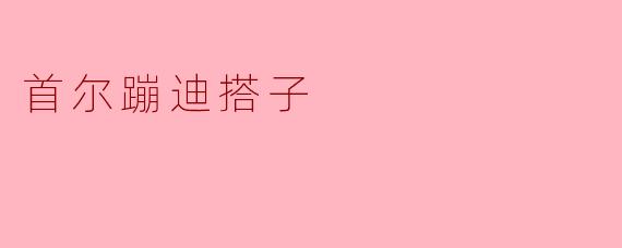 在首尔想找蹦迪搭子，有什么靠谱的渠道或建议吗？