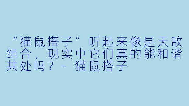 “猫鼠搭子”听起来像是天敌组合，现实中它们真的能和谐共处吗？