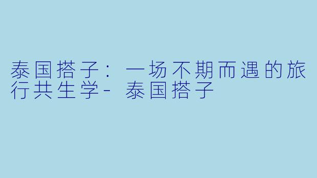 泰国搭子：一场不期而遇的旅行共生学-泰国搭子