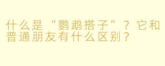 什么是“鹦鹉搭子”？它和普通朋友有什么区别？