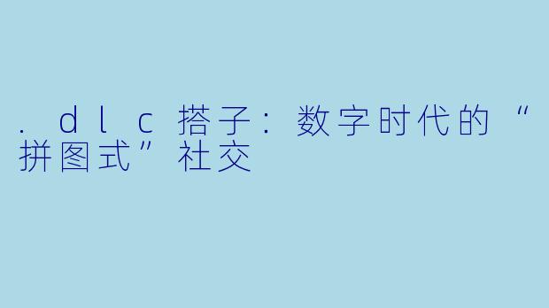 .dlc搭子：数字时代的“拼图式”社交