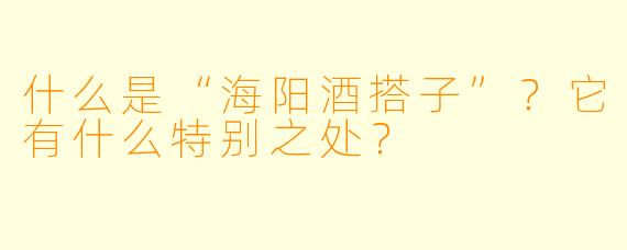 什么是“海阳酒搭子”？它有什么特别之处？