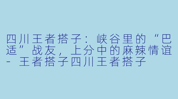 四川王者搭子：峡谷里的“巴适”战友，上分中的麻辣情谊-王者搭子四川王者搭子