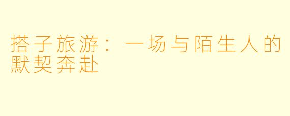 搭子旅游：一场与陌生人的默契奔赴