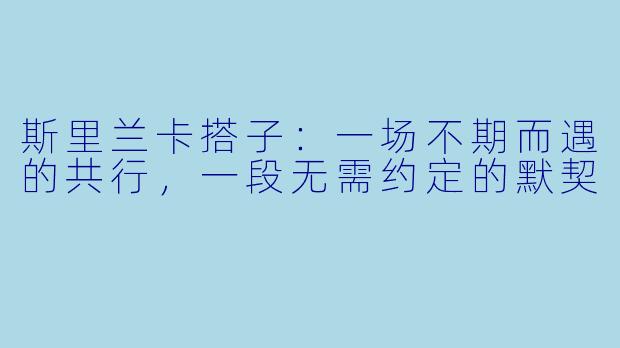 斯里兰卡搭子：一场不期而遇的共行，一段无需约定的默契