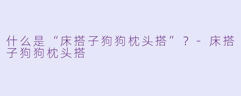什么是“床搭子狗狗枕头搭”？-床搭子狗狗枕头搭
