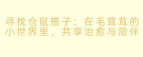 寻找仓鼠搭子：在毛茸茸的小世界里，共享治愈与陪伴