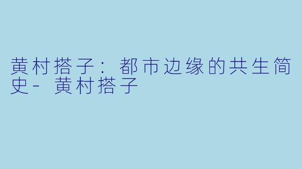黄村搭子：都市边缘的共生简史-黄村搭子