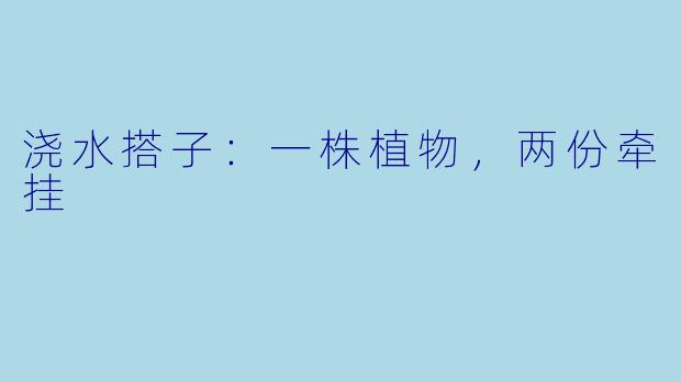 浇水搭子:一株植物,两份牵挂