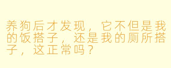 养狗后才发现，它不但是我的饭搭子，还是我的厕所搭子，这正常吗？