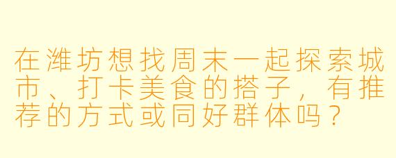 在潍坊想找周末一起探索城市、打卡美食的搭子，有推荐的方式或同好群体吗？