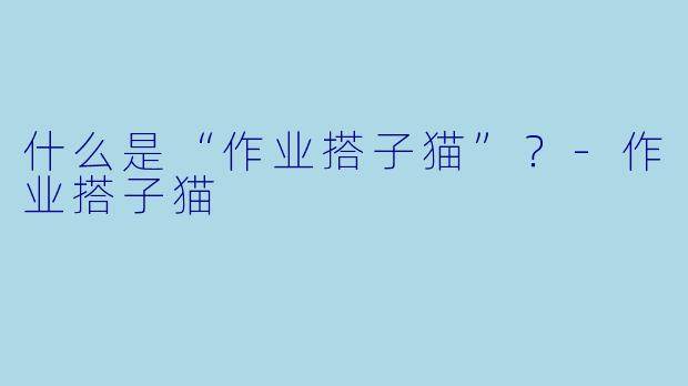 什么是“作业搭子猫”？