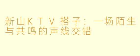 新山KTV搭子：一场陌生与共鸣的声线交错