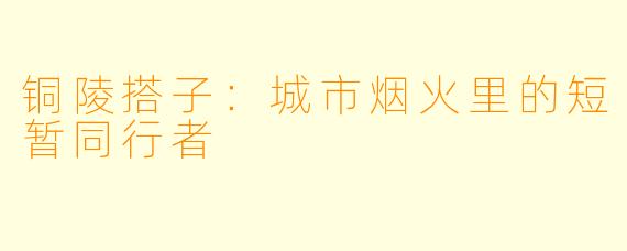 铜陵搭子：城市烟火里的短暂同行者