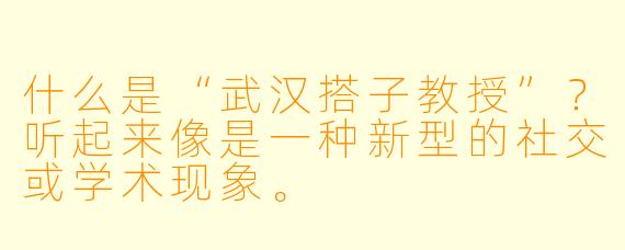 什么是“武汉搭子教授”？听起来像是一种新型的社交或学术现象。
