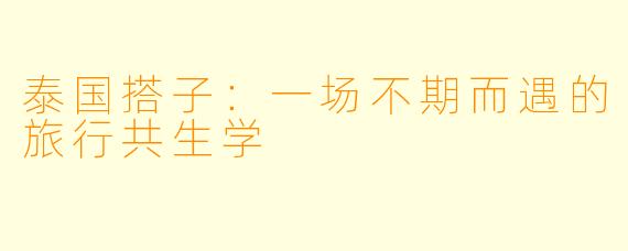 泰国搭子：一场不期而遇的旅行共生学