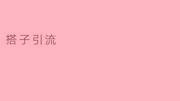 搭子引流