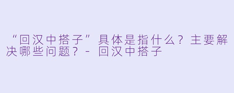 “回汉中搭子”具体是指什么？主要解决哪些问题？-回汉中搭子