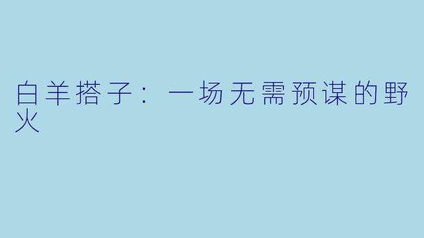 白羊搭子：一场无需预谋的野火