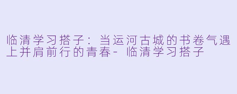 临清学习搭子：当运河古城的书卷气遇上并肩前行的青春-临清学习搭子