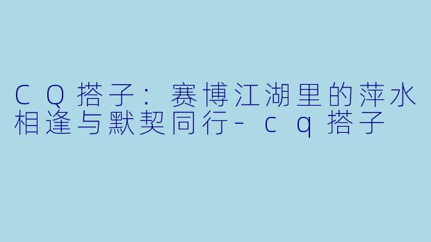 CQ搭子：赛博江湖里的萍水相逢与默契同行-cq搭子