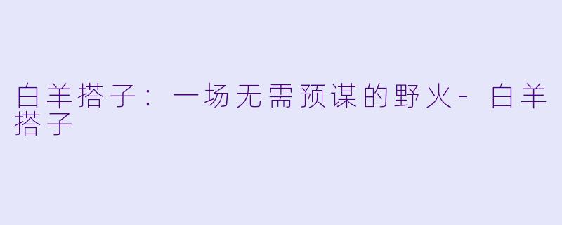 白羊搭子：一场无需预谋的野火-白羊搭子