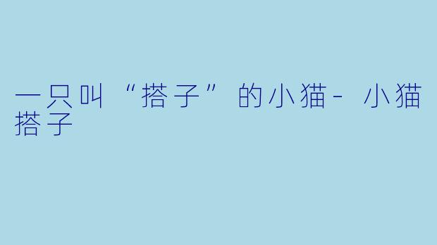 一只叫“搭子”的小猫-小猫搭子