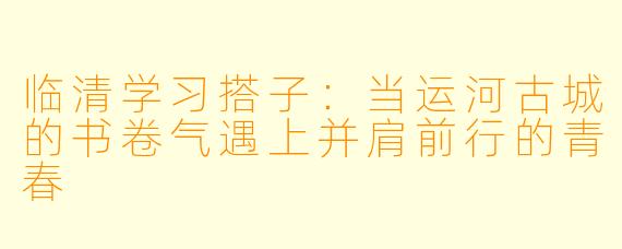 临清学习搭子：当运河古城的书卷气遇上并肩前行的青春